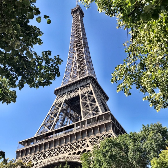 Meet your Posher, Demelza - Picture 1 of 5